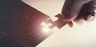 雪松树加盟厂家电话